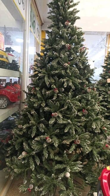 Yeni il yolkalari geldi. Hər cur cesidler var her olcude var etrafli