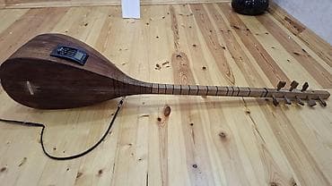 Fleytalar: Elektro saz — akustik-elektrik xalq aləti İdeal vəziyyətdədir . Çox az — 4