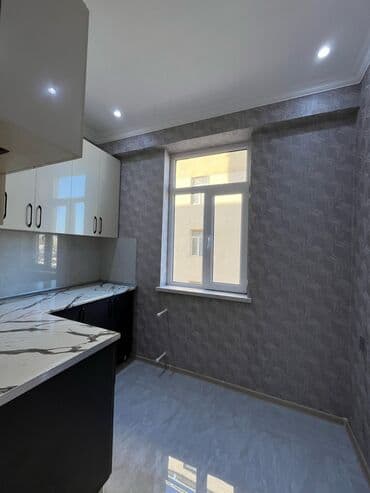 alcipan patalok fiqurlari 2019: Yeni, Azərbaycan — 8