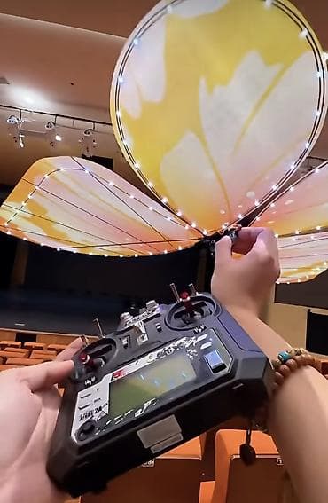 Animatorlar: Toy, nişan, xınayaxdı, ad günü, korporativ tədbirlər və digər — 6