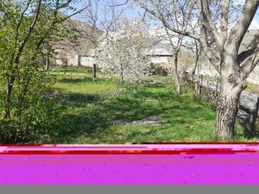 объявления о продаже земельных участков: 10 соток, Для сельского хозяйства — 21