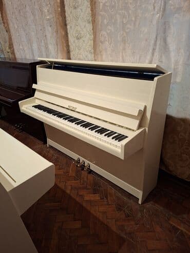 ecemide ev alqi satqisi: Piano, Petrof, Akustik, Yeni, Pulsuz çatdırılma — 2