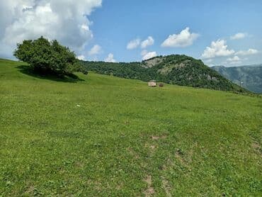 bakı tikiş evi əlaqə nömrəsi: 50 sot, Mülkiyyətçi, Kupça (Çıxarış) — 9