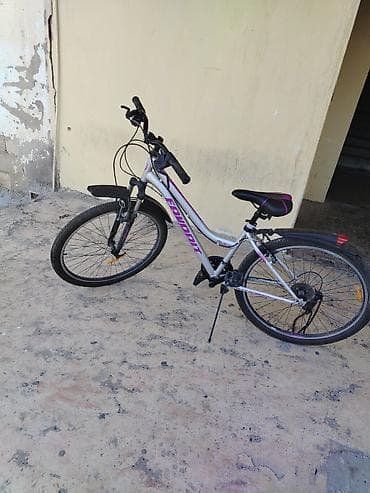 saft velosiped 29: BAYARDT “Blue Cat” dağ velosipedi - Halqa ölçüsü: 26" - Çərçivə — 4