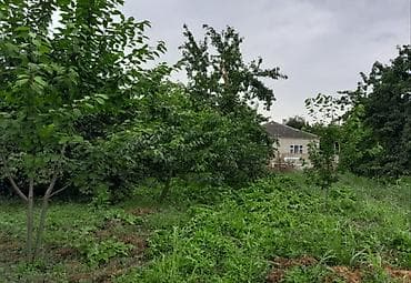gencede satilan bina evleri 2018: 10 соток, Для сельского хозяйства, Собственник, Купчая — 3