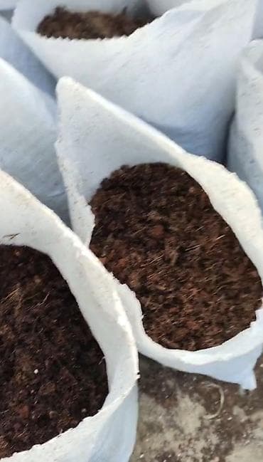 Bitki dərmanları: Məhsul: Torf (bağ və istixana üçün) Təsvir: - Ağ polipropilen — 3