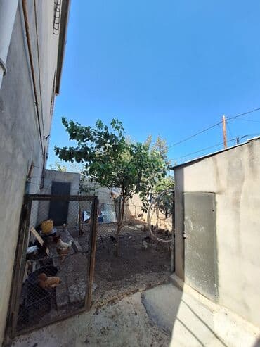 nizamide heyet evleri: 4 otaqlı, 1 kv. m, Yeni təmirli — 5