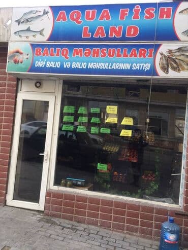 mingəcevirdə icarə obyektlər: Yasamal rayonu 25 kv.m sahəsi olan, obyekt(meyvə tərəvəz,balıq — 4