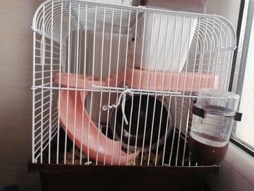 Yemlər: Hamster üçün tam dəst qəfəs - Material: möhkəm metal barmaqlıqlar və — 2