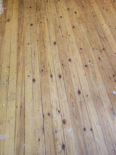 Otaq bitkiləri: Pol taxtası satılır! 1 - kv 8 manat — 3