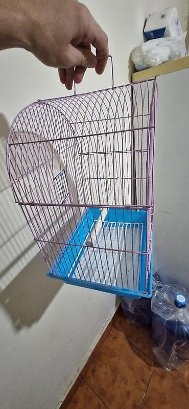 С/х животные и товары: Yeni almışıq. 15 manata.
10 manata satırıq — 3