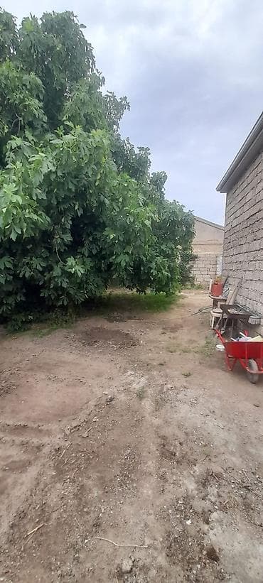 bine sovxoz: Buzovna qəsəbəsində həyət evi satılır. Torpağın və evin kupçası var — 8