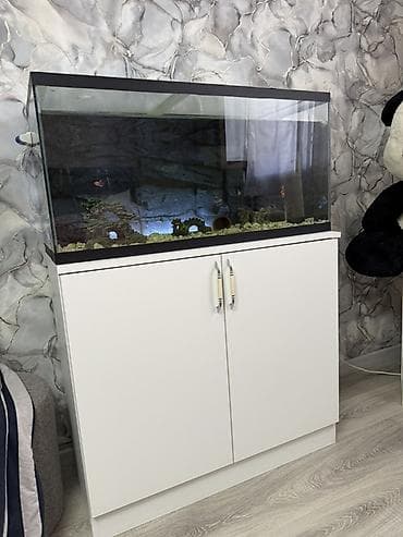 Dördbucaq akvarium, Boş, 150 l lalafo.az -da Dördbucaq akvarium, Boş, 150 l