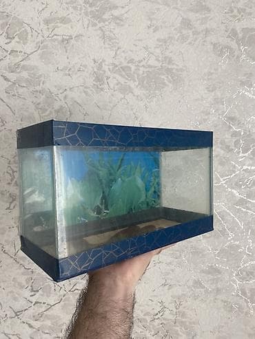 Akvariumlar: Dördbucaq akvarium, Boş, 6 l, Ünvandan götürmə — 2