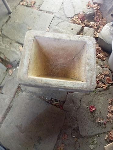 monstera bitkisi: Beton dekorativ çiçək qabı/planter - Material: ağır və davamlı beton — 1