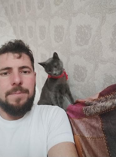 it pisik sekilleri: Yaxşı əllərə — 3