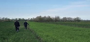 Земельные участки: 235 соток, Для сельского хозяйства, Возможен обмен, Купчая, Техпаспорт — 1
