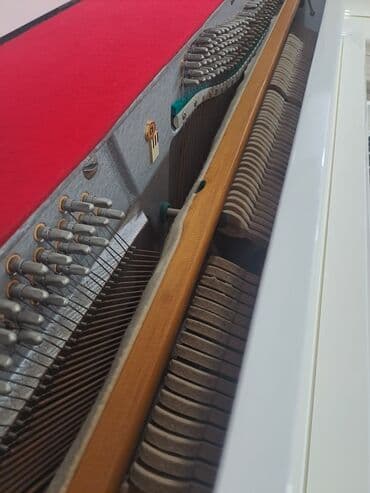 Lincoln: Belarus rusiya istesali renklenmis 3 pedal dasinma koklenme zemaneti — 4