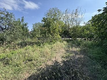 ev gence: 6 sot, Tikinti, Mülkiyyətçi, Kupça (Çıxarış) — 6