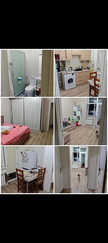 ev axdaram: İki otaqlı7/5 binada tam əşyalı remontlu mənzil kirayə — 1