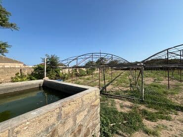 dem çayniki: Bu, əkinçilik və ya bağçılıq üçün nəzərdə tutulmuş möhkəm metal — 1