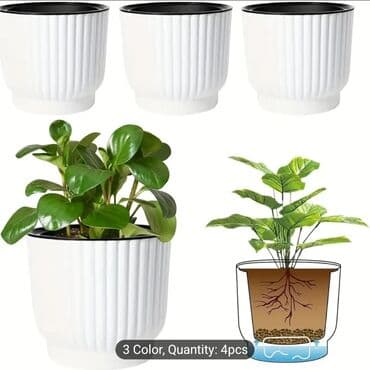 şaxtagülü qiyməti: Orta ölçü kaşpo dibçəklər. Yuzarı çevrəsinin diametri 15.50sm — 6