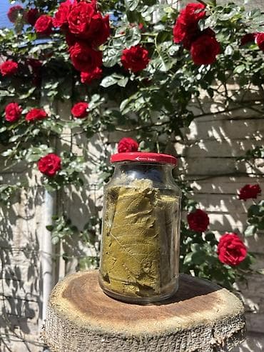 gence yemek sifarisi: 🍃 Seçilmiş tənək yarpaqları Ağzına qədər keyfiyyət 🌿 720 ML • 3₼ — 3