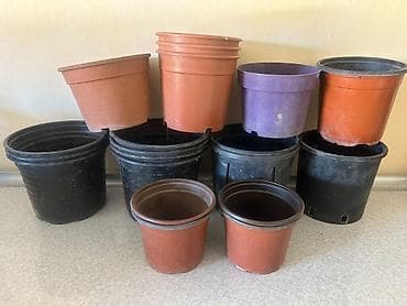 liliya gul: Qırmızı plastik güldan dəsti - 2 ədəd dairəvi plastik güldan - Rəng — 4