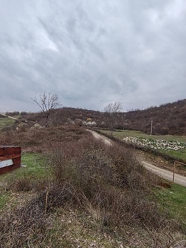 ipotekada olan menzillerin satisi: 14 соток, Для строительства, Возможен обмен, Бялядия (муниципалитет) — 1