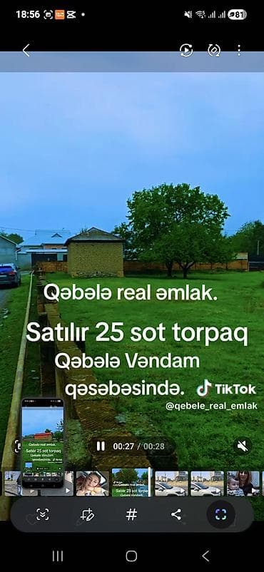 Kənd təsərrüfatı, Barter mümkündür, Kupça (Çıxarış)