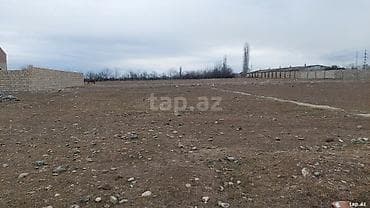 zig kiraye evler: 8 sot, Kənd təsərrüfatı, Mülkiyyətçi, Kupça (Çıxarış) — 2