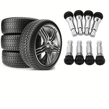 Шины: Avtomobil təkər klapanları – TRAYAL (Germany yazılı) - Yeni — 1