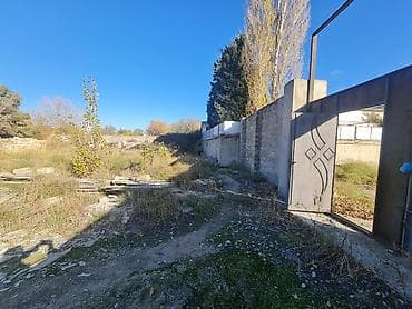 cicək qəsəbəsi: 100 sot, Kupça (Çıxarış) — 7