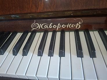 akustik gitara simi: Upright pianino – “Zavod im. D. Shostakovich (Zavoronek)” markalı - — 5