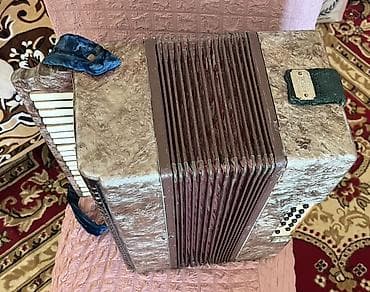 CD, DVD disklər və kassetlər: Akustik Akkordeon, İşlənmiş — 2