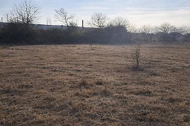 38 sot, Mülkiyyətçi, Kupça (Çıxarış) lalafo.az -da 38 sot, Mülkiyyətçi, Kupça (Çıxarış)