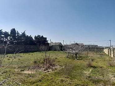 topaq: 12 sot, Kupça (Çıxarış) — 3