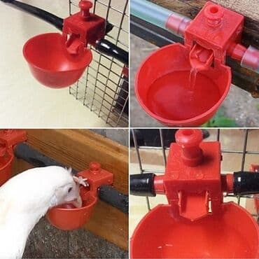 Inəklər, öküzlər: Yem qabı, Su üçün, Quşlar üçün, Ünvandan götürmə, Pulsuz çatdırılma, Ödənişli çatdırılma — 2