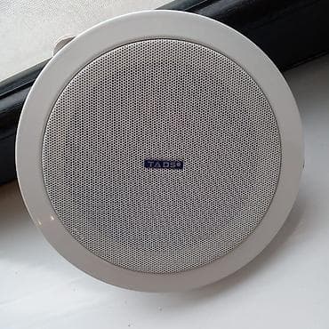 Kolonka, Növ - Akustik, rəng - Ağ