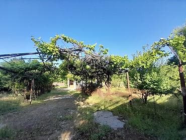 turkanda bağ evləri: Bakı, 140 kv. m, 2 otaqlı, Hovuzsuz — 4