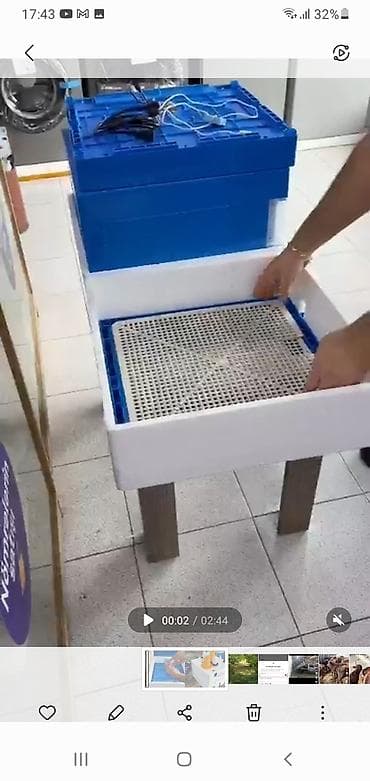 Cüce çıxarma aparatı toyuqa ehdiyac olmur isteyen olsa elaqe saxlasın