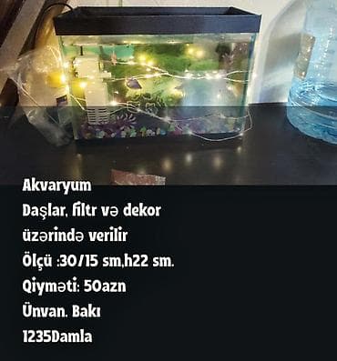 gence akvarium: Akvaryum dəsti - Ölçü: 30 x 15 sm, hündürlük 22 sm - Tam komplekt — 1