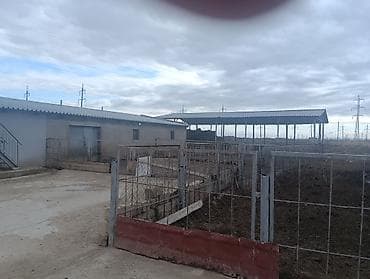 torpaq razin: Kənd təsərrüfatı — 2