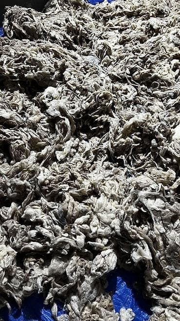toxucu: Tebii qoyun yunu taxt ucun 10 kq cox ucuza satiram — 2