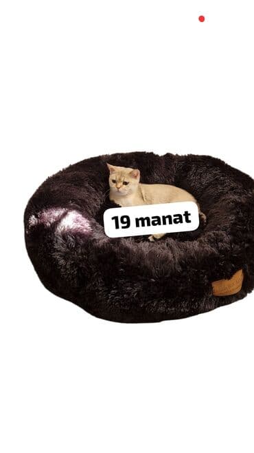 pişik yuvası qiyməti: Pişik üçün qaşınma dirəkləri və oyun stendləri — 7