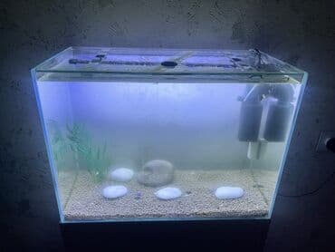 Грызуны: Прямоугольный аквариум, Пустой, 90 л, Платная доставка — 3