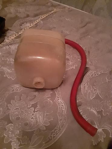 bal qabı: Gencede satilir antifiriz bacoku slanqli islek veziyetdedi — 1