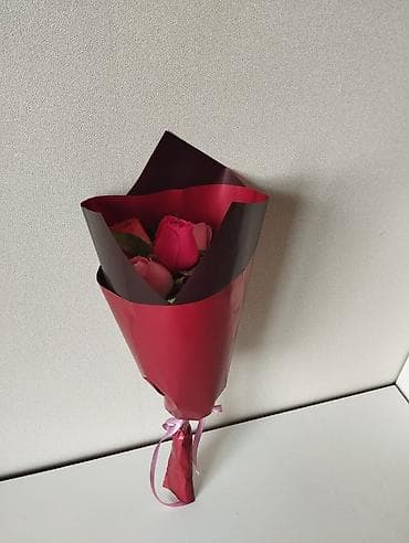 oyuncaq robot: Gul Xanımlarcun gözəl hediyə — 6