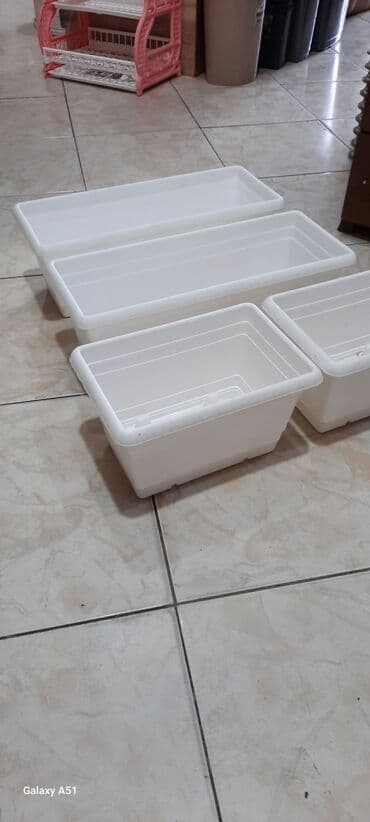 Digər bitkilər: Dibçək. Müxtəlif ölçü və modellər mövcuddur. Fərqli qiymətlərdədir — 10