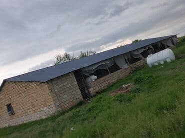 isti ağlay: Qoz chandler- 8 ha 7 illik, 4 ha 2 illik alma qızılehmed- 1 ha 4 — 12